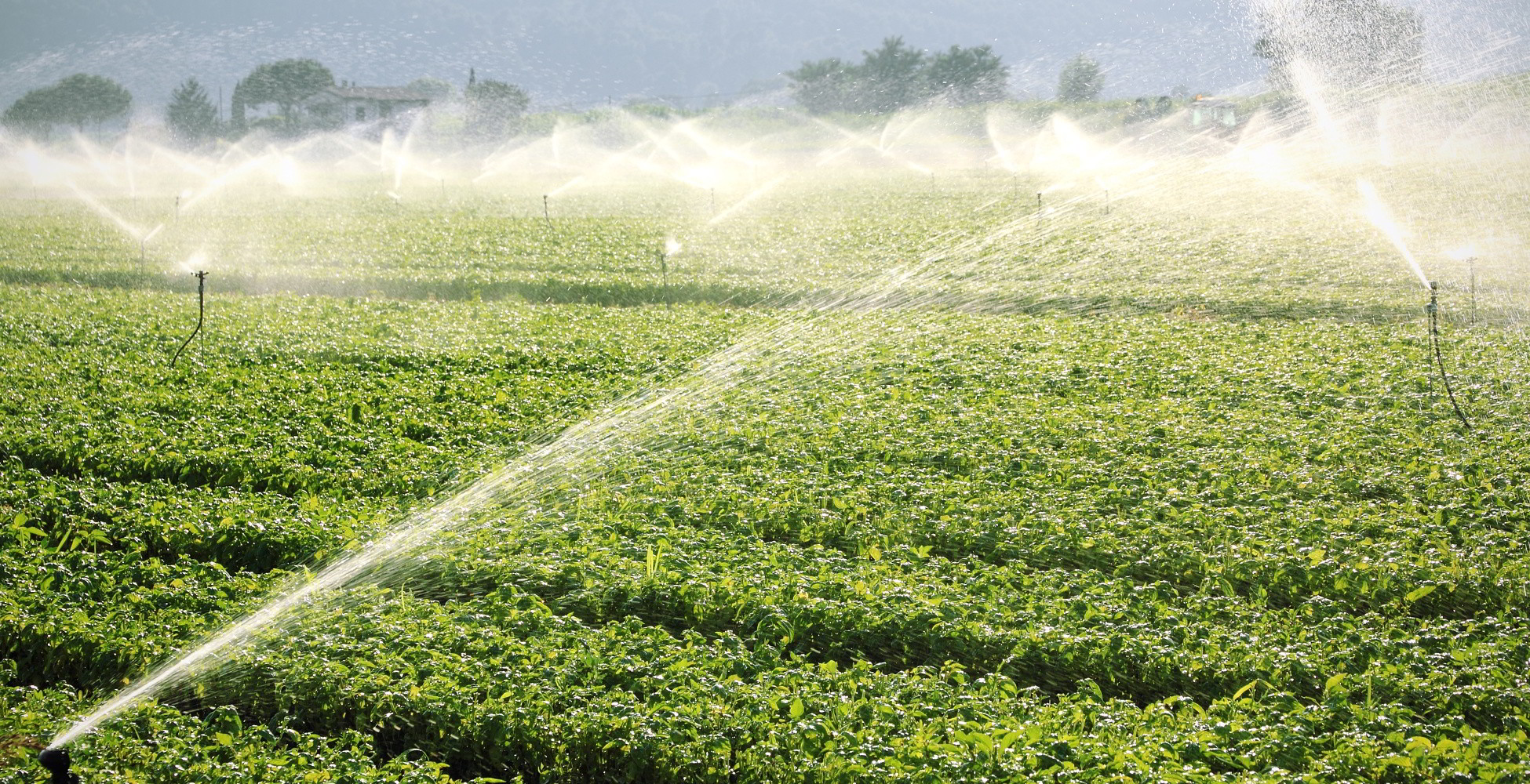 ARMS Pumps farm irrigation equipment
